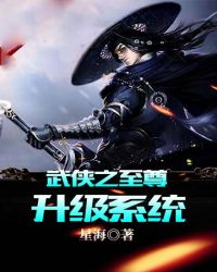 武侠之至尊升